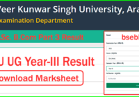VKSU UG Part 3 Result 2023